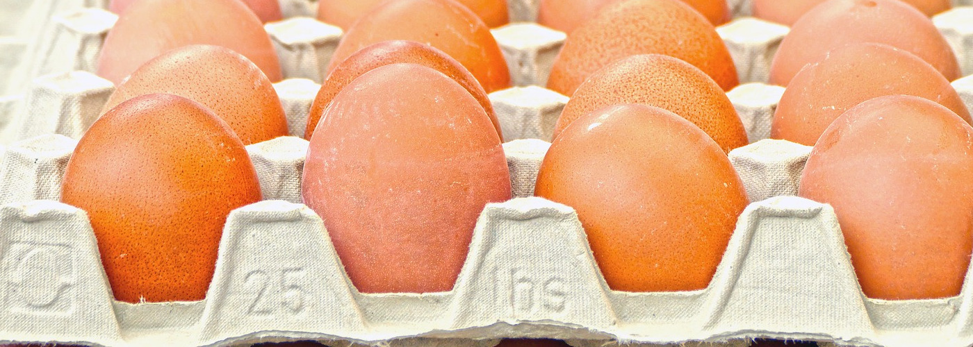 Nutribest Livestock Corporation